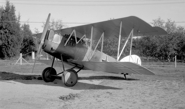  Pfalz D-12  7517/18
