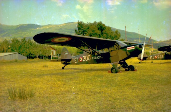  Piper L-21 Super Cub MM54-2391