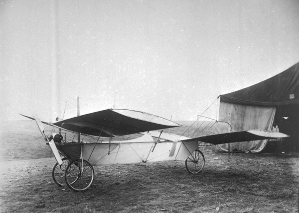  Smith Langley Damselfly  