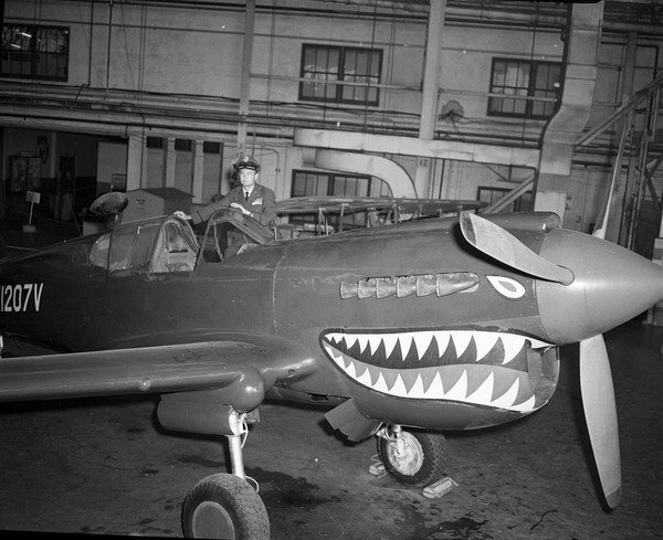  Curtiss P-40  Warhawk N1207V