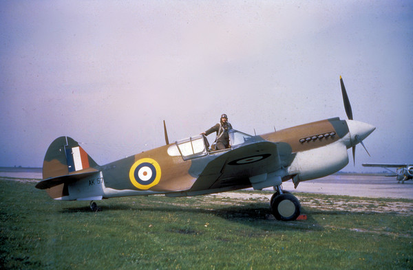  Curtiss P-40  AK 571