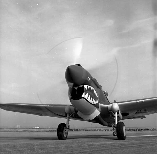  Curtiss P-40E  N1207V