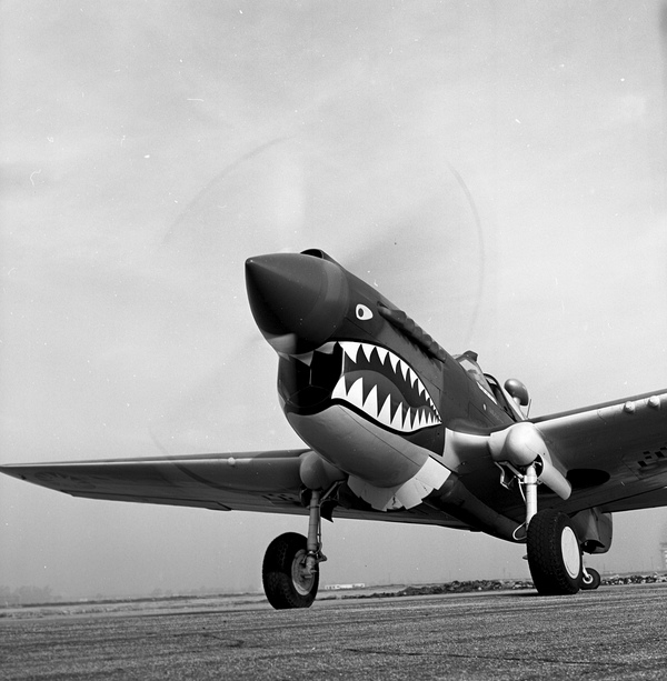  Curtiss P-40E  N1207V