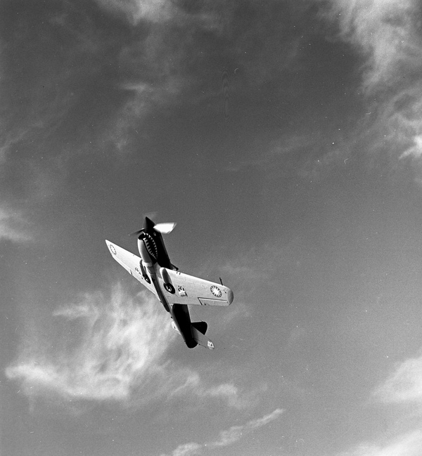  Curtiss P-40E  N1207V