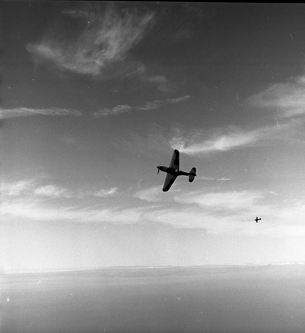  Curtiss P-40E  N1207V