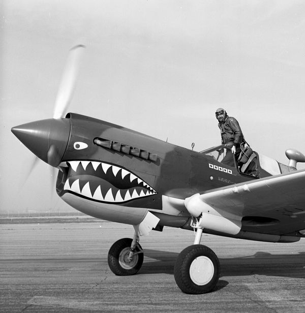  Curtiss P-40E  N1207V