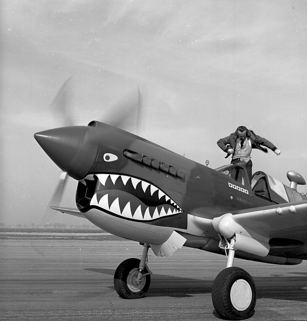  Curtiss P-40E  N1207V