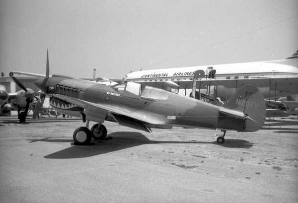  Curtiss P-40  N1207V