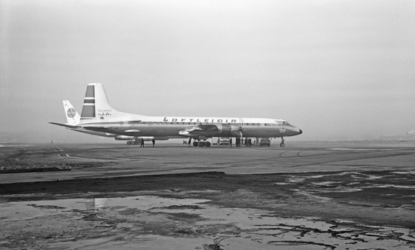 LOFTLEIDIR CANADAIR CL-44  TF-LLG