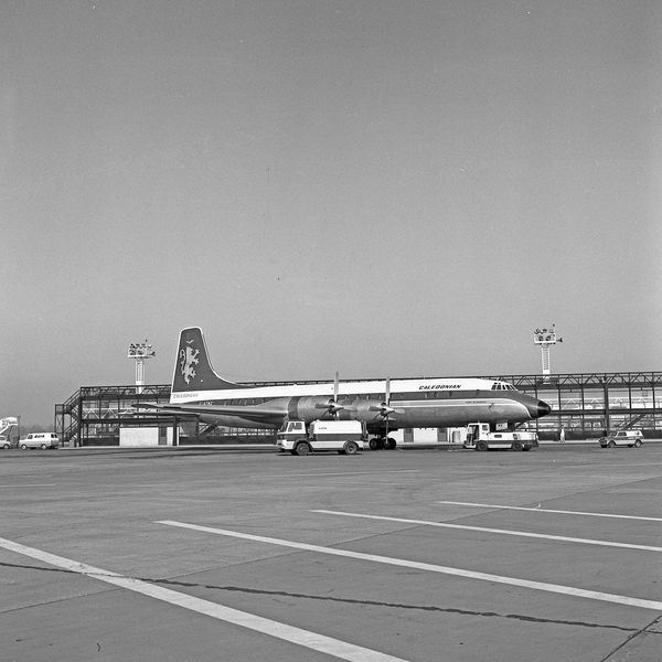 CALEDONIAN Bristol 314 Britannia G-ATNZ