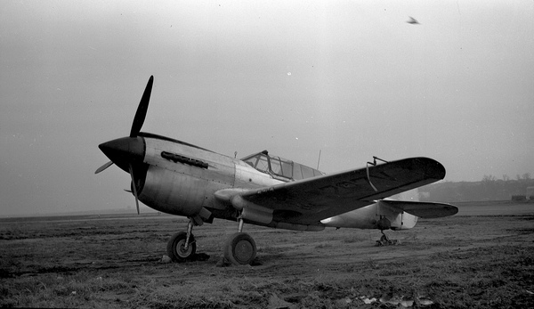  Curtiss P-40N  N1207V