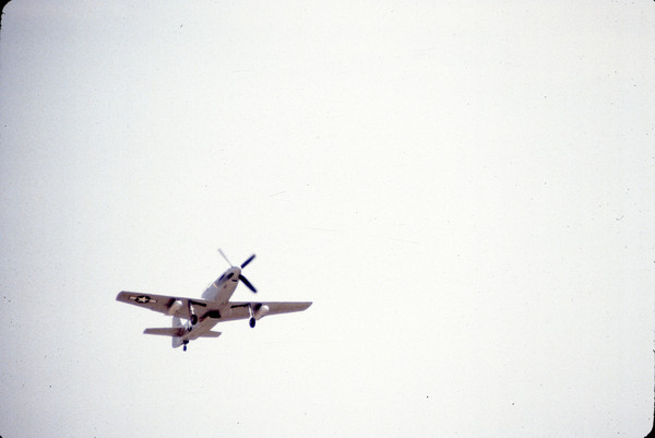 Photo of the day